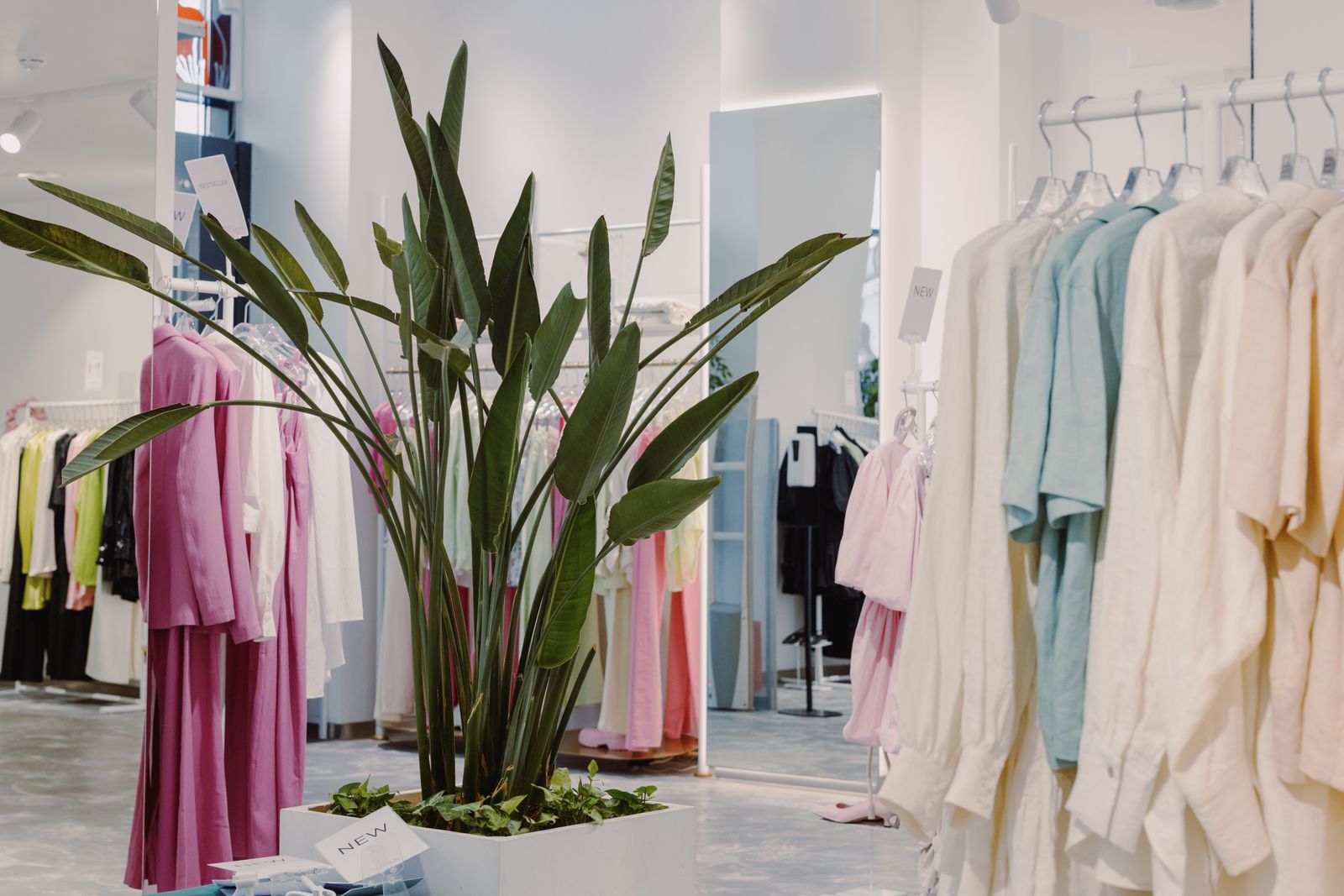 Boutique cleaning